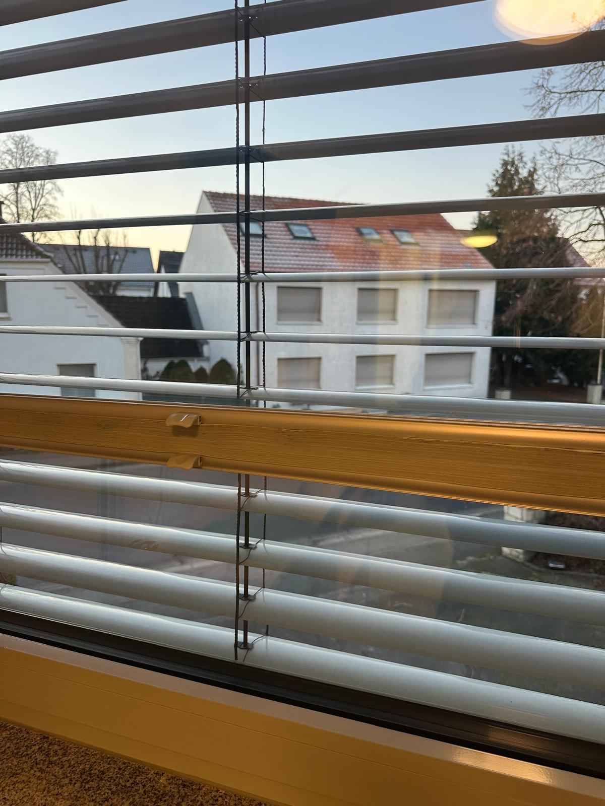 Professionelle Pflege